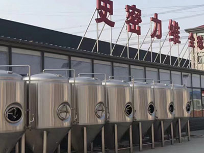 竹溪精酿啤酒设备厂—如何判断精酿啤酒设备的密封件需要更换？